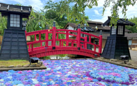【帰着レポート】和洋彩る街 函館滞在の旅
