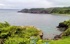 【帰着レポート】「能登「海辺の杣径」と復興食堂「芽吹」の旅」3日間