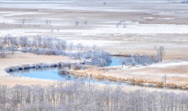シマエナガ観察チャンスと冬の釧路湿原の旅【4日間】