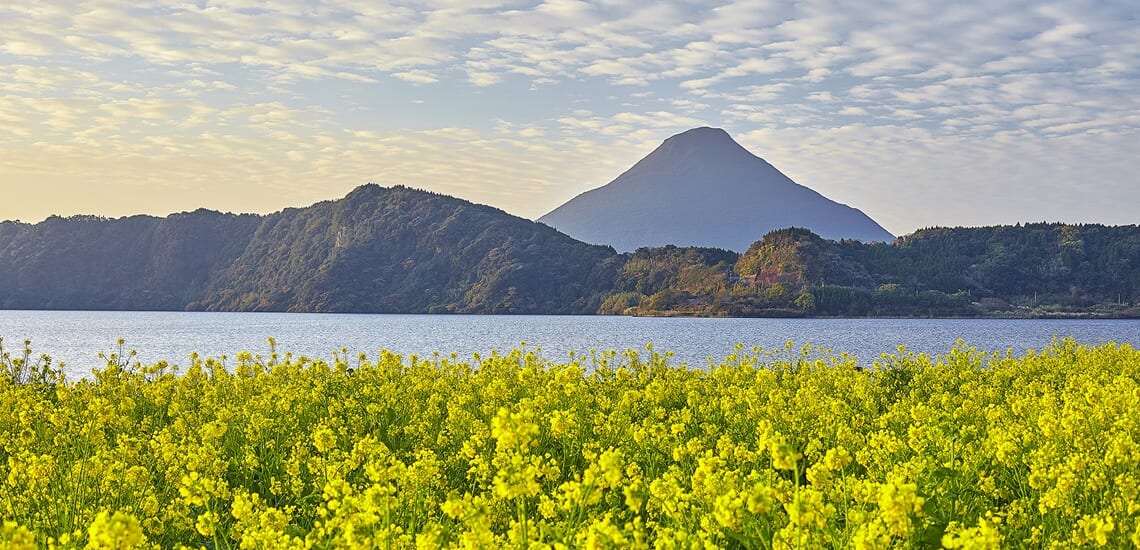 「鹿児島の年越し」ゆく年くる年【4日間】
