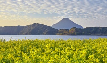 「鹿児島の年越し」ゆく年くる年【4日間】