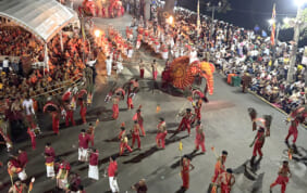 【帰国レポート】中部／福岡発 2つの観覧席で楽しむペラヘラ祭りとスリランカ周遊の旅