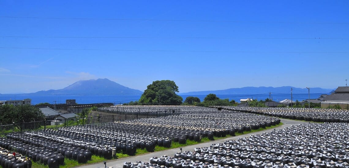 「指宿白水館」連泊で楽しむ 鰻の名店、鹿児島の味めぐり【4日間】