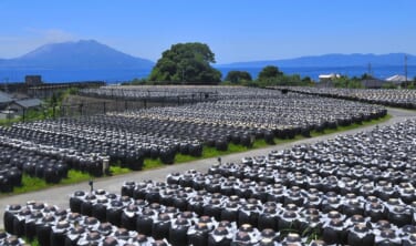 「指宿白水館」連泊で楽しむ　鰻の名店、鹿児島の味めぐり【4日間】